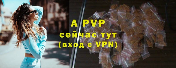 тгк Богданович