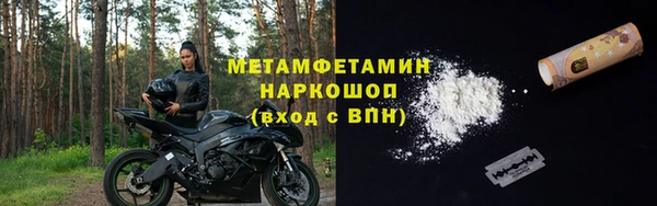 прущие грибы Баксан