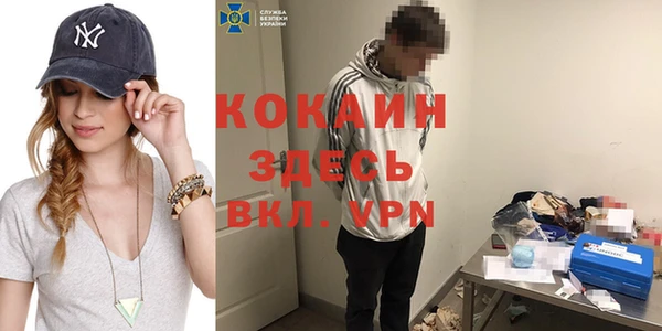 прущие грибы Баксан