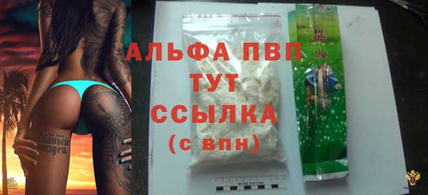 тгк Богданович