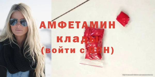 индика Балабаново