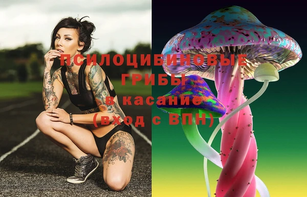 индика Балабаново
