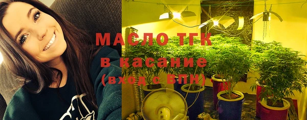 индика Балабаново