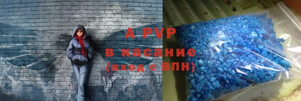 прущие грибы Баксан