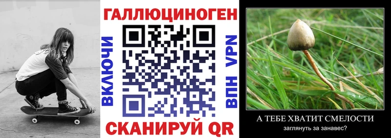 как найти закладки  Харабали  мориарти наркотические препараты  Галлюциногенные грибы Psilocybe 